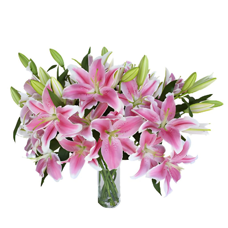 Dazzling Pink Oriental Lily