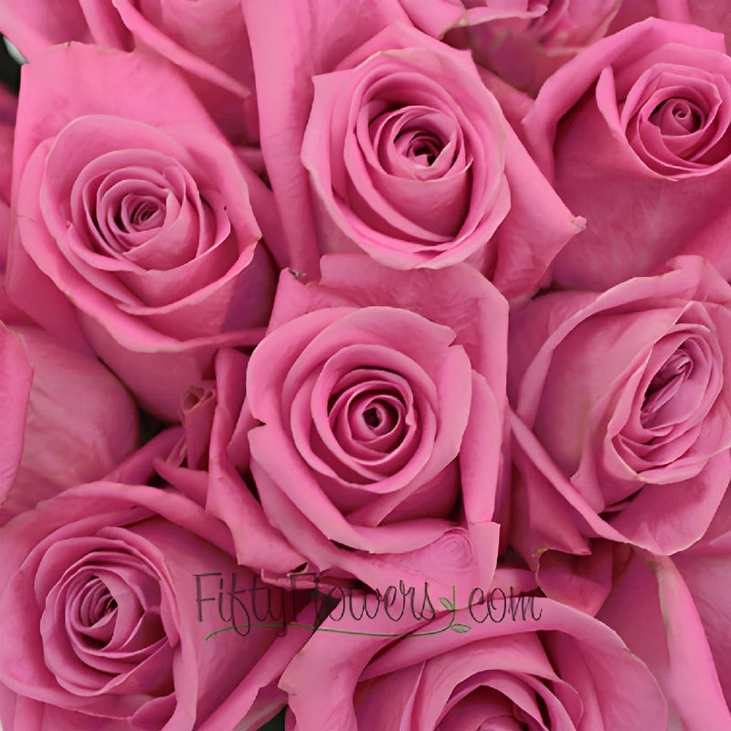 Soul Mate Medium Pink Rose