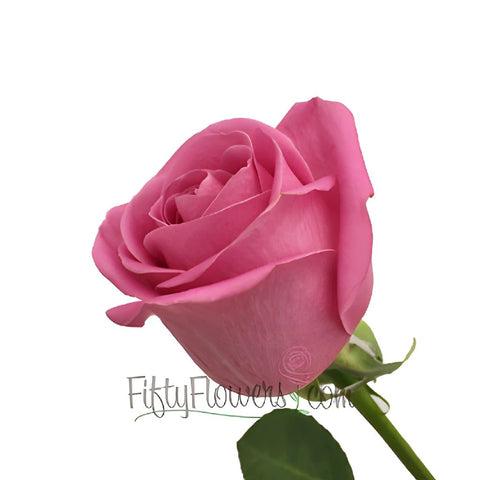 Soul Mate Medium Pink Rose