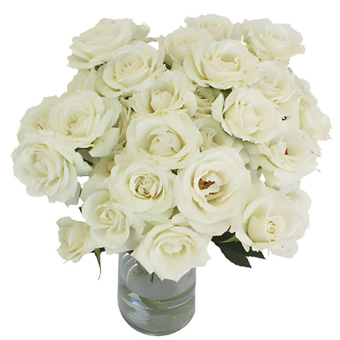 Creamy White Spray Rose Express Delivery