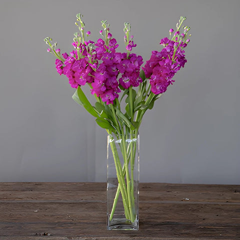 El Aleli Fuschia Stock Wholesale Flower In a vase