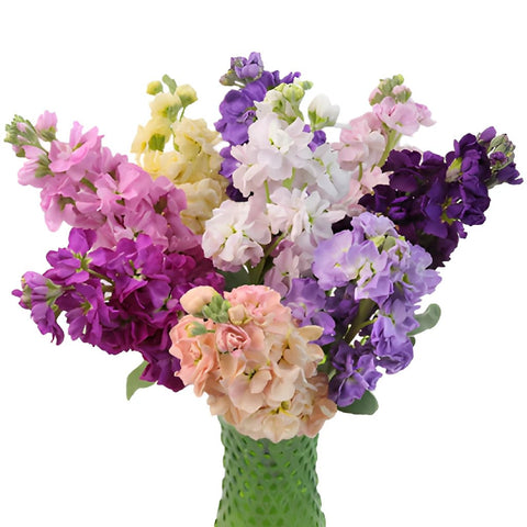 Farm Mix Colors Stock Wholesale Flower In a vase