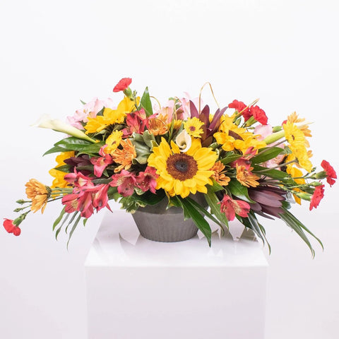 Sunflower DIY Flower Kit with supplies