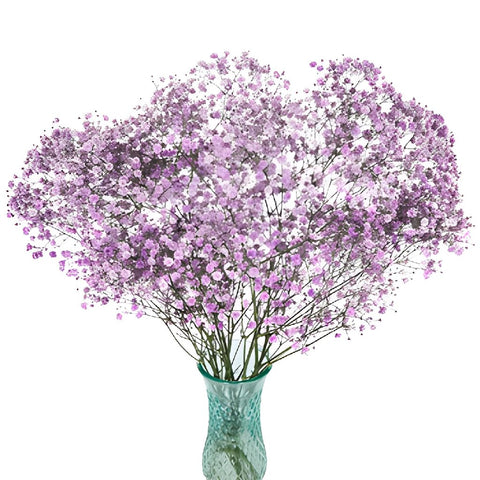 Lavender Airbrushed Baby's Breath