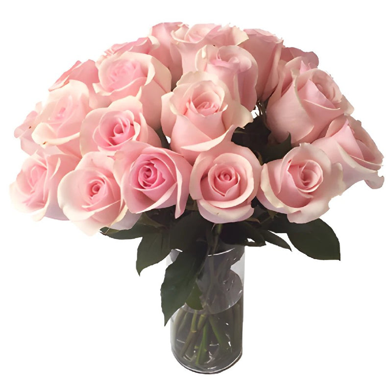 Titanic Light Pink Rose Wholesale Roses In a vase