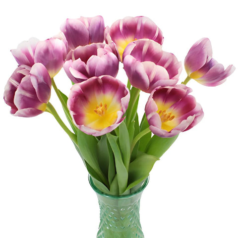 Berry Cracker Tulips Wholesale Flower In a vase