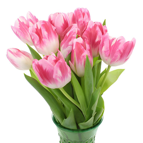 Caramba Pink Tulips Wholesale Flower In a vase