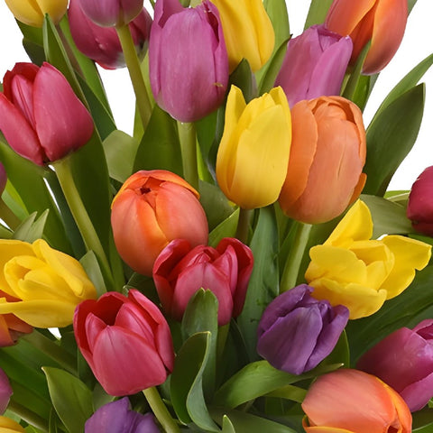 Save the California Tulip Bouquet