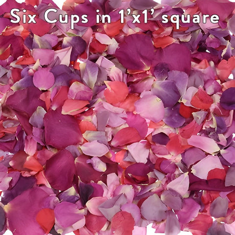 Freeze Dried Rose Petals for Weddings