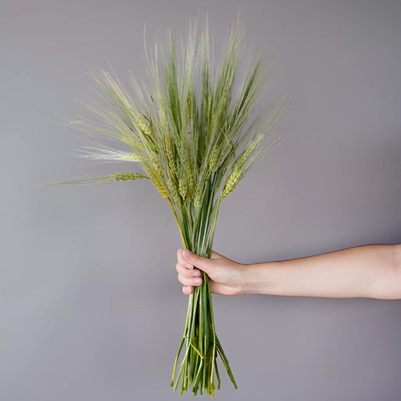 Bulk greenery fresh wheat grass filler flowers sold for delivery