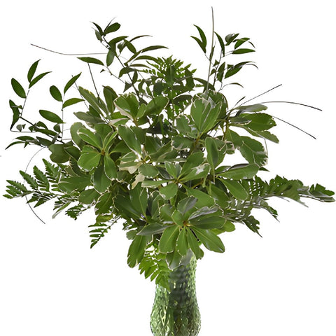 Whimsical Chic Greenery Centerpiece