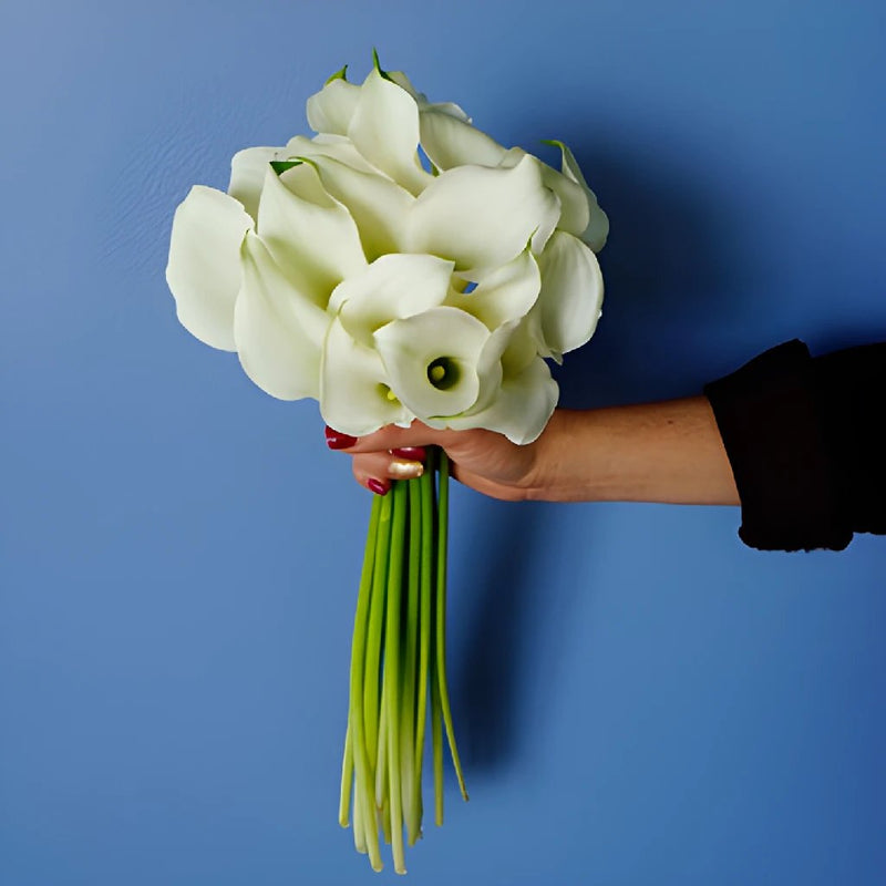 White Mini Calla Bouquet