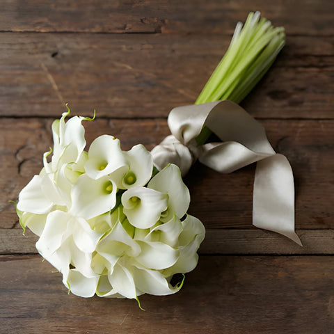 White Mini Calla Bouquet