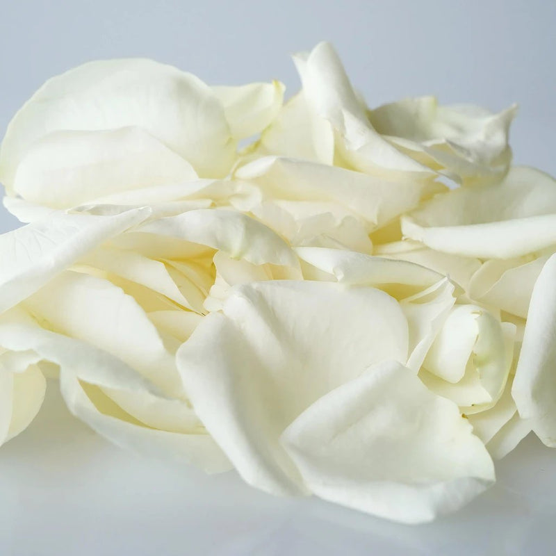 White Real Roses Petals