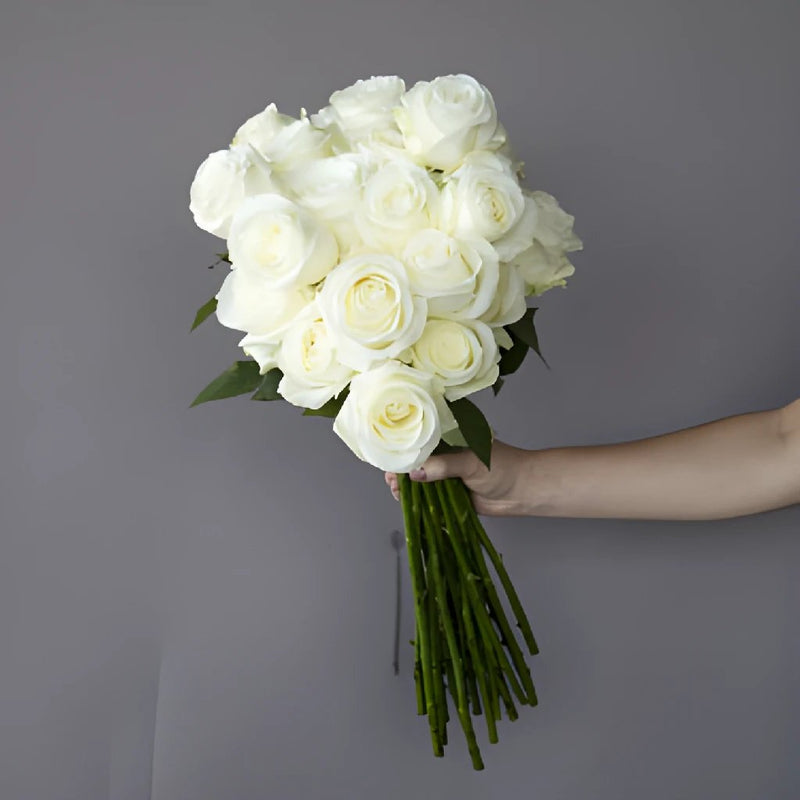 Fresh Cut Paper, White Roses