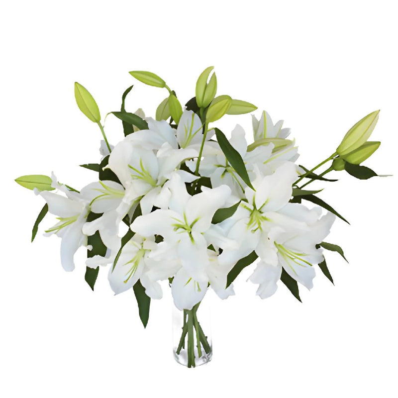 White Oriental Lilies Bunch