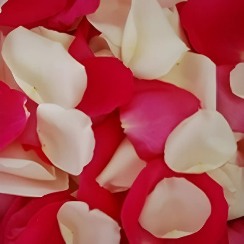 Raspberry cream fresh Rose Petals flatlay