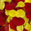 Fresh Rose Petals Yellow and Red