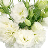 White Designer Lisianthus Flower