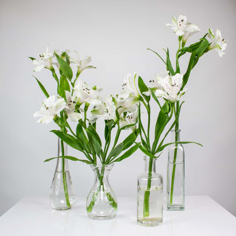Choose Your Color Alstroemeria with Bud Vases