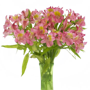 Yellow and Pink alstroemeria Wholesale Flower In a vase