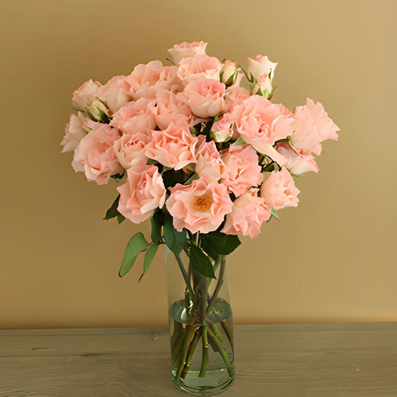 Anastasia Pink Spray Wholesale Roses In a vase