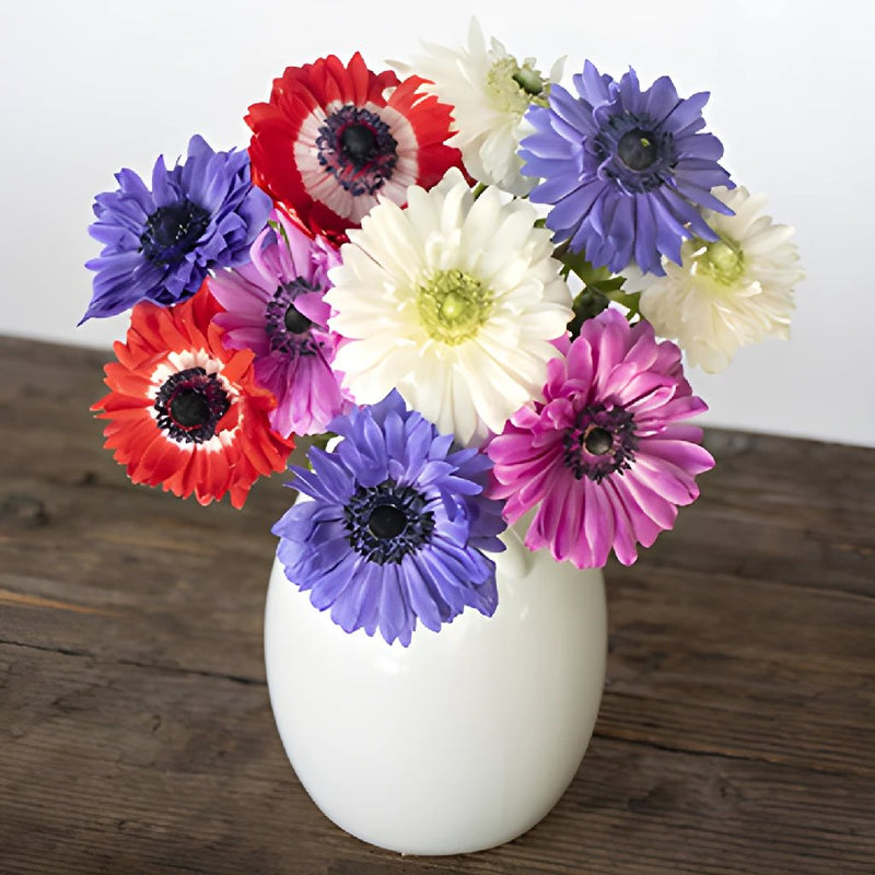 Assorted Rainbow Star Anemone Wholesale Flower In a vase