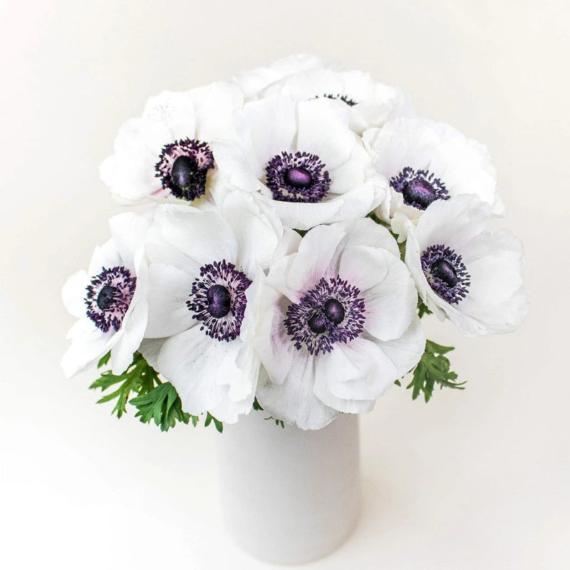White Anemone Wholesale Flowers In Vase