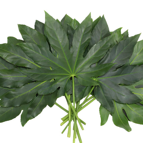 Wholesale greenery aralia cur foliage leaves sold as bulk