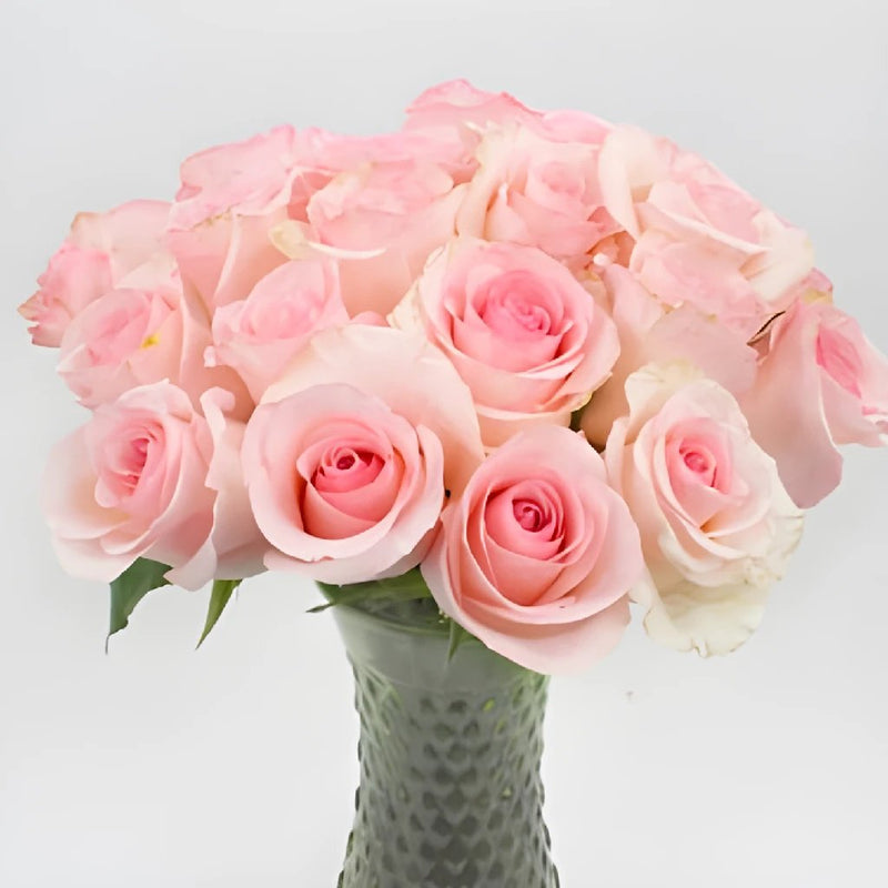 Save The Growers Pink Arleen Ecuadorian Roses