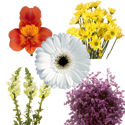 Assorted Farm Mix White and Yellow DIY Flower Kit Bunch