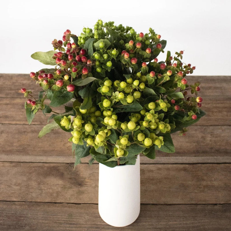 Assorted color hypericum berry flowers for delivery