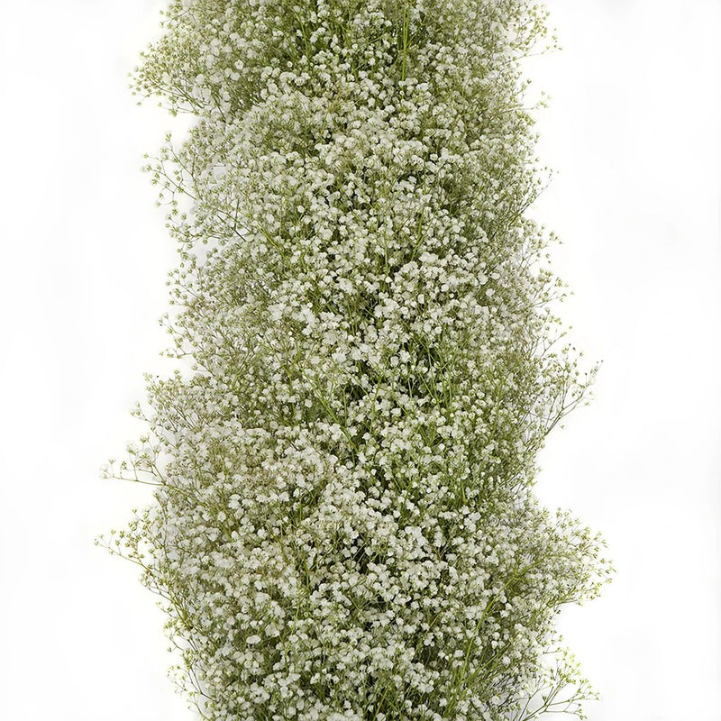 Making a baby's breath garland - The Crafted Life