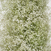 Baby Breath Garland