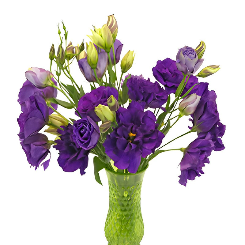 Balboa Purple Designer Lisianthus Wholesale Flower In a vase