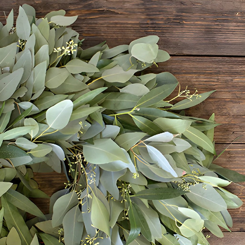 Prime Day Bay Leaf and Seeded Eucalyptus Wreath