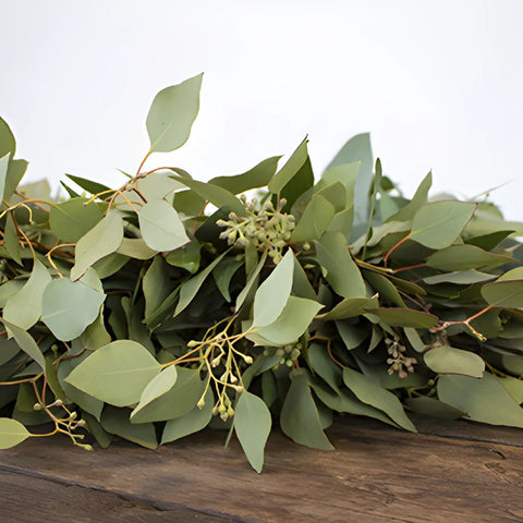 Prime Day Bay Leaf and Seeded Eucalyptus Wreath