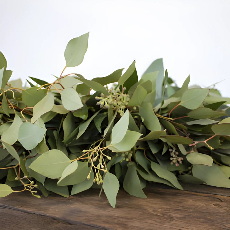 Bay Leaf and Seeded Eucalyptus Wreath Greenery Up Close