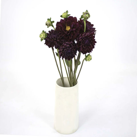Berry Dahlia Burgundy Flower Bunch in Vase