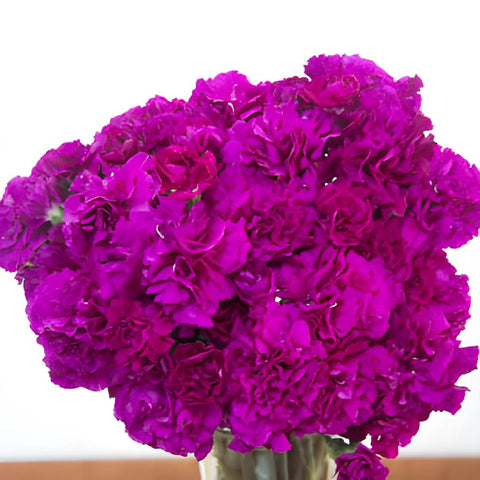 Berry Rush Carnation Flowers In a vase