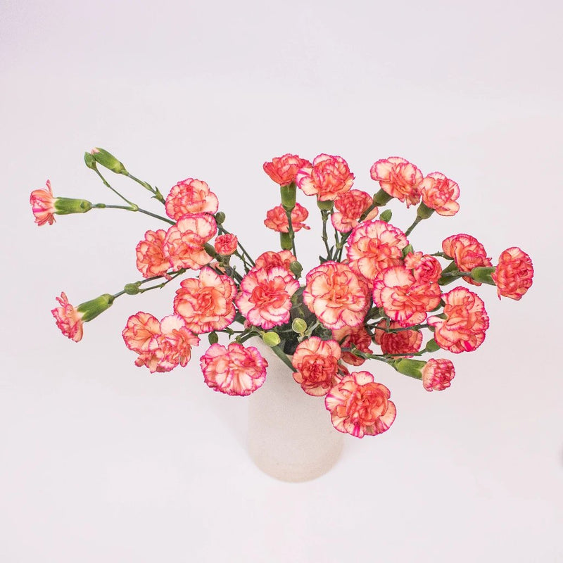 Bicolor Orange and Peach Mini Carnation Flower Bunch in Vase