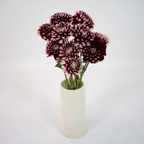 Bicolor Red and White Dahlia Flower Bunch in Vase