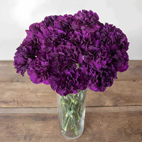 Blackish Purple Carnation Flowers In a vase