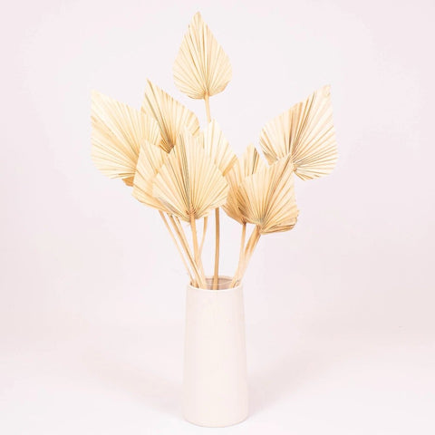 Bleached Dried Palm Spears in Vase