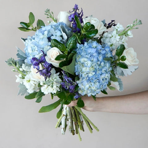 Blue Hydrangea Flower Bouquet in a Hand