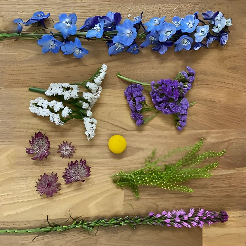 Save the Ecuadorian Wild Flowers DIY Combo Box