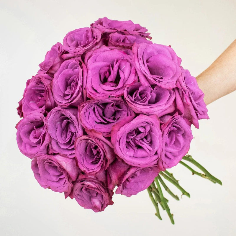 Blueberry Purple Roses Bunch in Hand