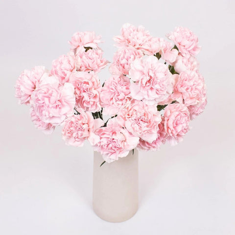Blush Carnation Flower Bunch in Vase