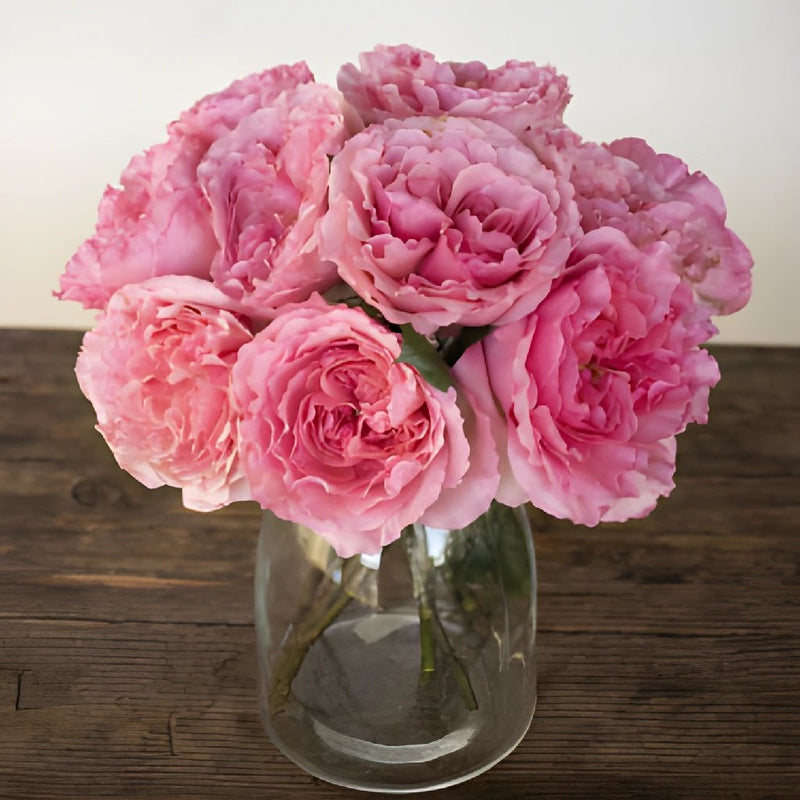 Blush Pink Garden Wholesale Roses In a vase