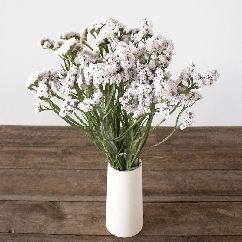 Blush Statice Flowers in Vase